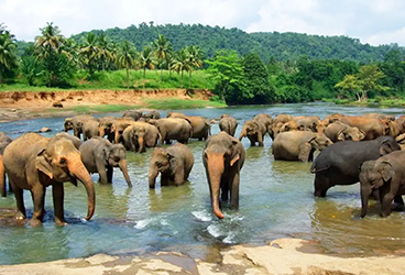 Ancient columns icon